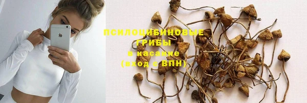 прущие крисы Абдулино