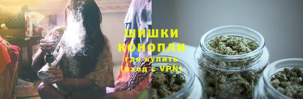 ПСИЛОЦИБИНОВЫЕ ГРИБЫ Алзамай