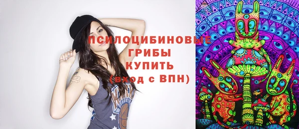 ПСИЛОЦИБИНОВЫЕ ГРИБЫ Алзамай