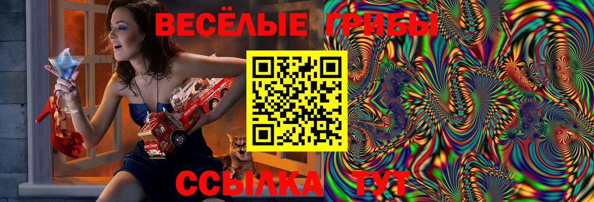 Псилоцибиновые грибы прущие грибы Клинцы